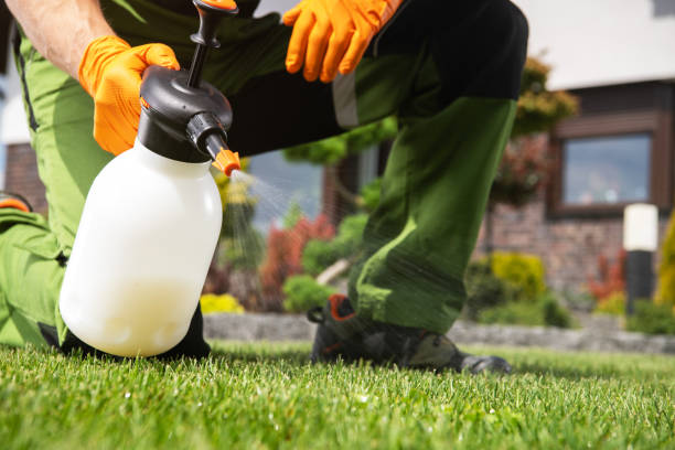 Best Cockroach Control Services  in Maquoketa, IA